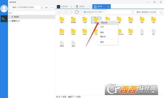 文件管理器ns,NextShell,switch电脑.